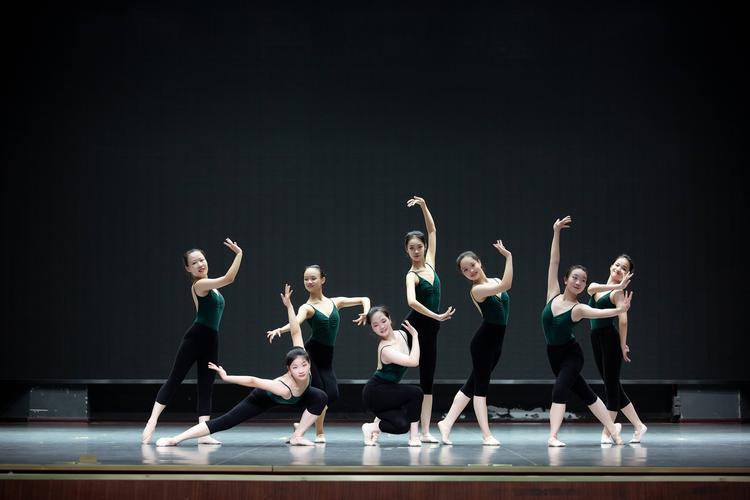 舞蹈学校排行榜-舞蹈种类排行榜前十？