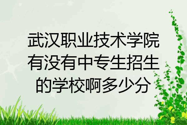 武汉职业技术学校-武汉职业技术学院什么时候升本？