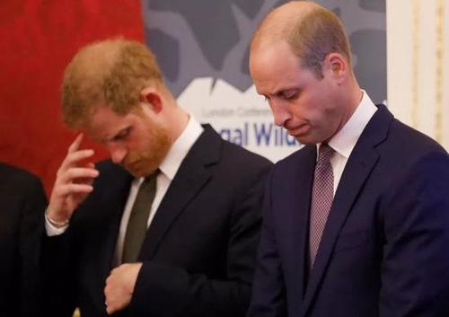 为什么在英国留学秃头多-为什么外国人秃顶的那么多呢？