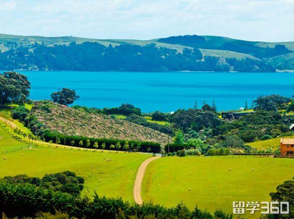为什么要留学新西兰-为什么新西兰留学很小众？