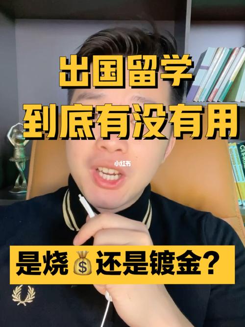 为什么老说留学是镀金-出国镀金是什么意思啊？