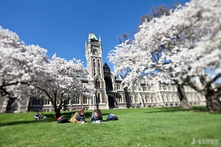 为什么很少人去新西兰留学-新西兰留学留下来容易吗？