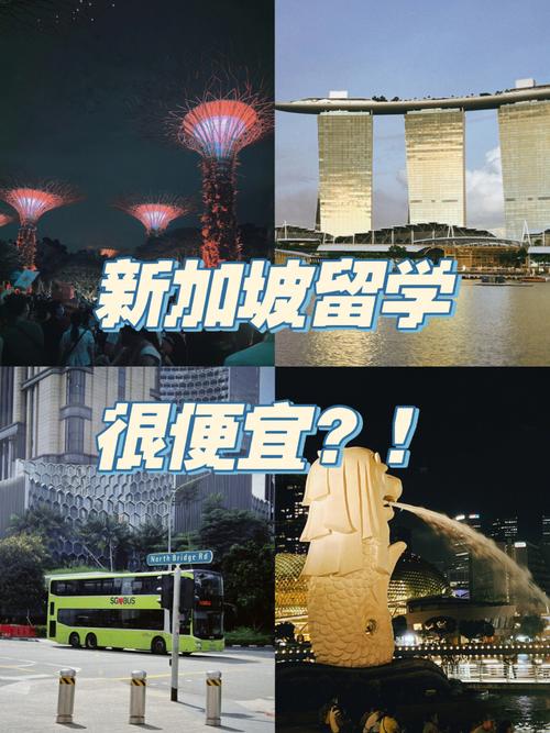 为什么新加坡留学好就业-为什么去新加坡留学？
