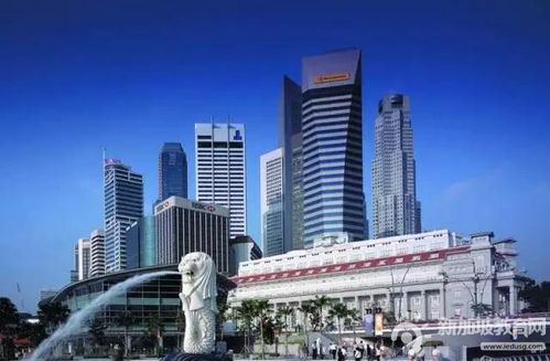 初中毕业为什么留学新加坡-为什么去新加坡留学？