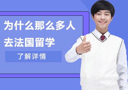 为什么很少人在法国留学-为什么很少有中介去做欧洲留学？