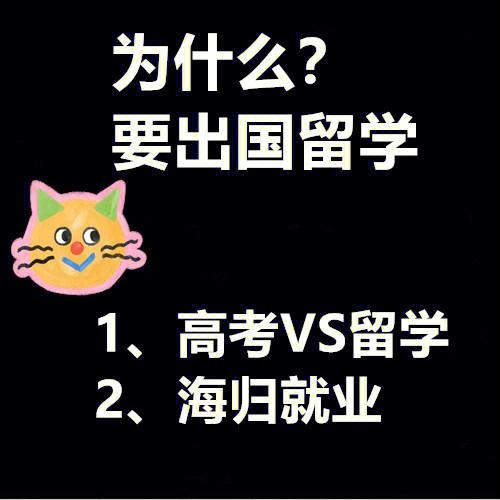 为什么走出国留学路线很难-出国留学面试成功率高吗？