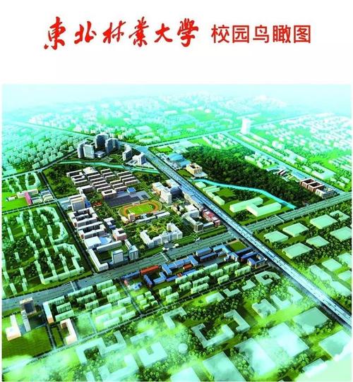 为什么东北人都留学-东北林业大学出国留学难吗？