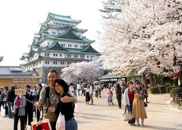 为什么放弃日本留学-无关地域，只是好奇为什么到日本留学的国人大部分都是来自东北？