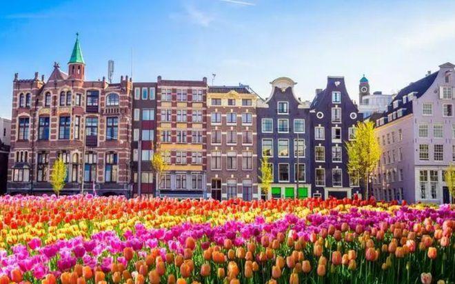为什么选择留学荷兰-欧洲荷兰国读研含金量高不高？