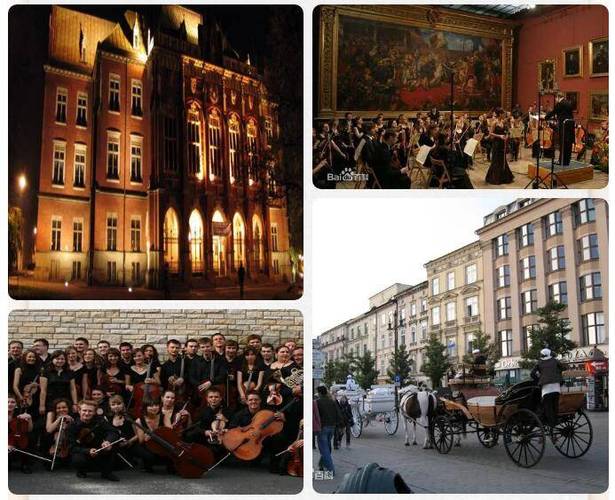 音乐留学为什么都去波兰-波兰音乐学院留学哪家机构好？