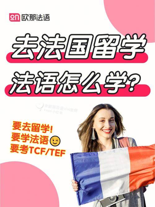 法语为什么去法国留学-去法国留学一定得学法语吗？